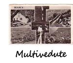 bottone per l'album cartoline Multivedute